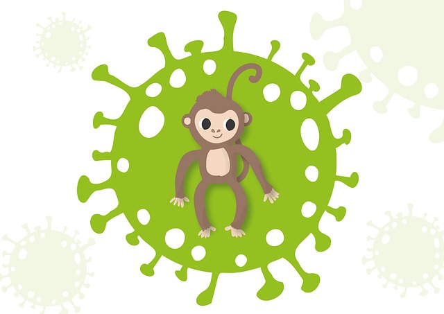 Travel & Hotel Industries Concerned After WHO’s Declaration About Monkeypox