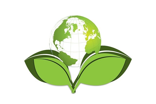 Data Reveals Eco-Friendly Certifications Not Benefiting Hotels Financially