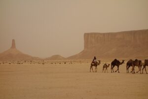 A New Sustainable Retreat Opening Soon in Saudi Arabia