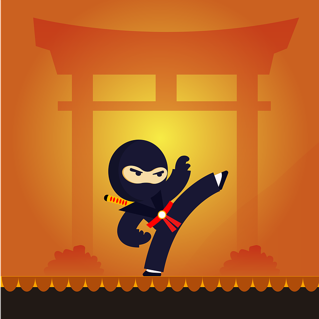 Japanese City to Boost Tourism with Ninja-themed Hotel Rooms