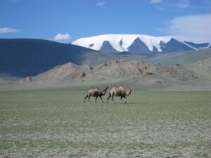 Mongolia's Tourism Sector Struggles with Workforce Shortage