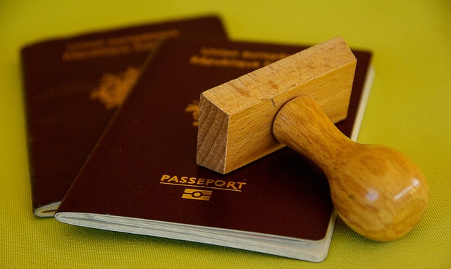 Passport Processing Delays Persist Amidst Soaring International Travel Demand