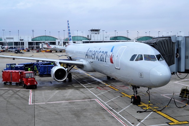American Airlines Website Glitch Causes Disruption for Hundreds of Customers