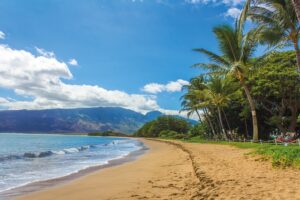 Beautiful beach landscape of Hawaii