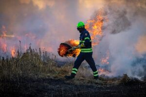 Smoke rising from wildfires Greece