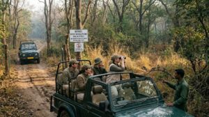 India enforces a phone ban in tiger reserves from 2026 to protect wildlife and reduce disturbances.