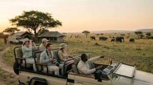 Wilderness Expands to Mara Triangle